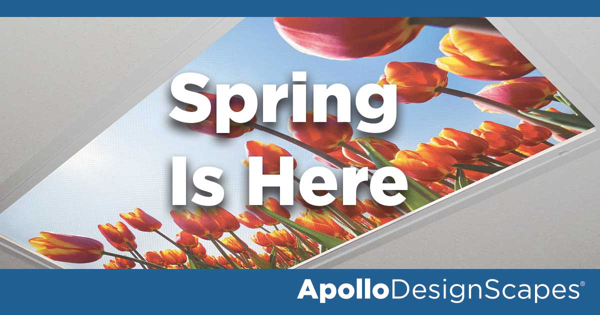 Spring Is Here!! Order Your DesignScapes® Today